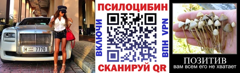 где купить наркоту  Иноземцево  Псилоцибиновые грибы GOLDEN TEACHER 